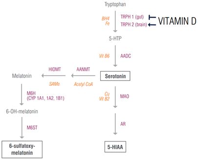 Vitamin D and Melatonin Connection