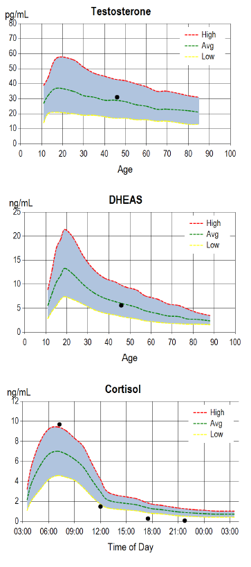 Testosterone, DHEAS, and Cortisol graphs