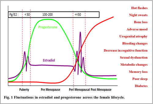 menopause graph 