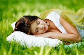 Herbal Remedies for Sleep Disturbances & the Nervous System