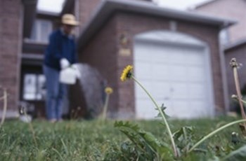 Pesticides, Herbicides, Chemicals, Oh My!