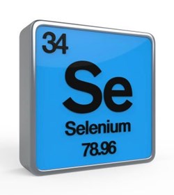 Understanding Selenium Supplementation | ZRT Laboratory